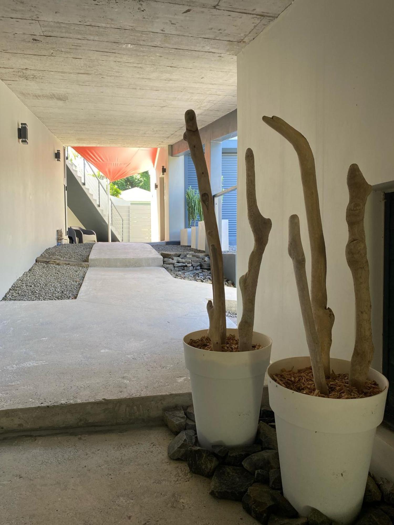 Hotel Lune De Miel Deshaies Dış mekan fotoğraf